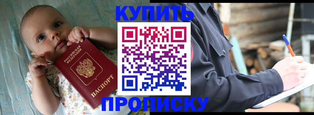 прописка поиск в Красноярском крае